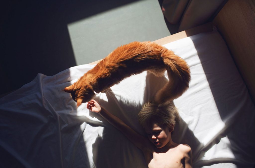 Fotografía artística con luz natural ile ilgili görsel